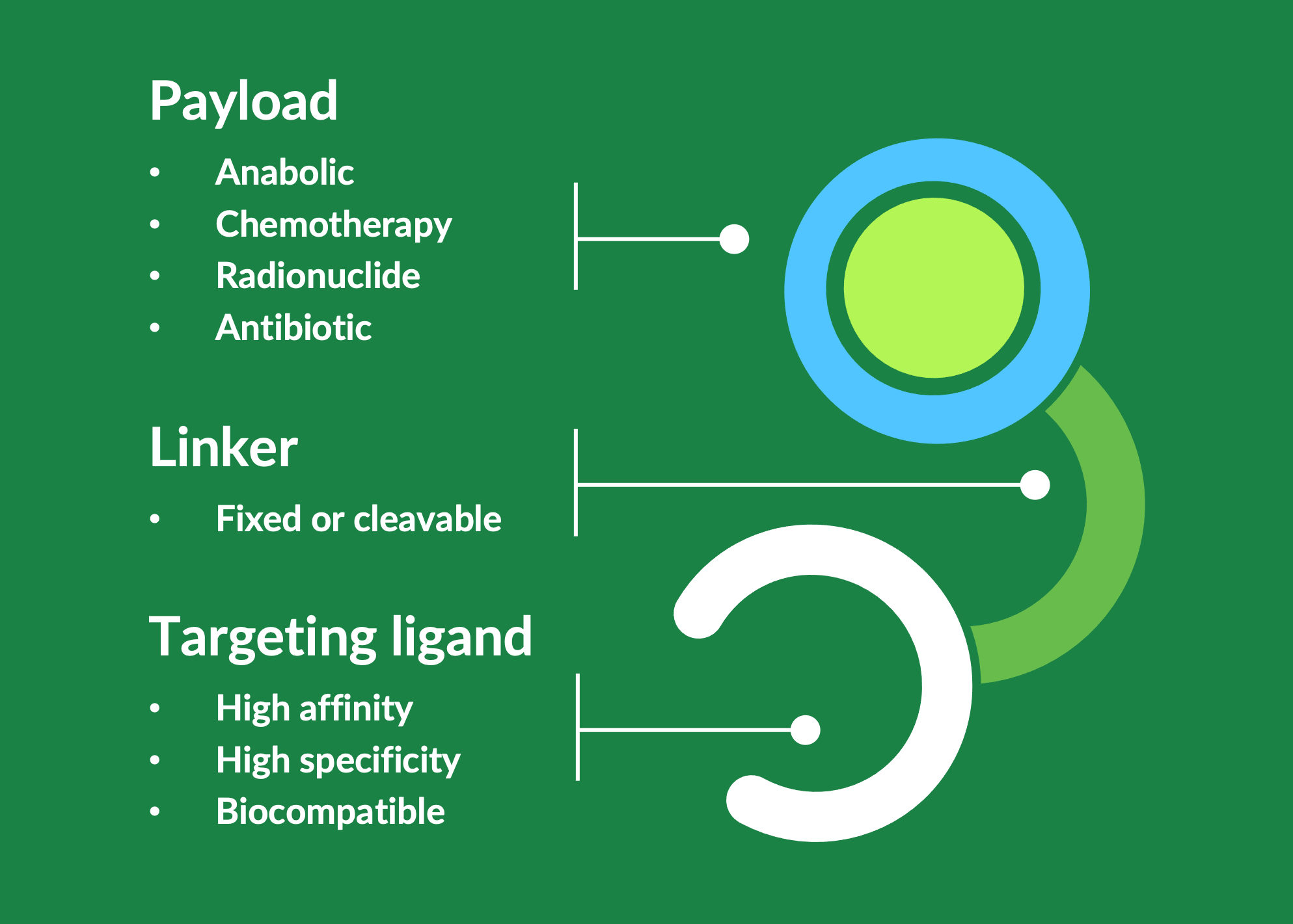 Payload - Linker - Targeting ligand - chart