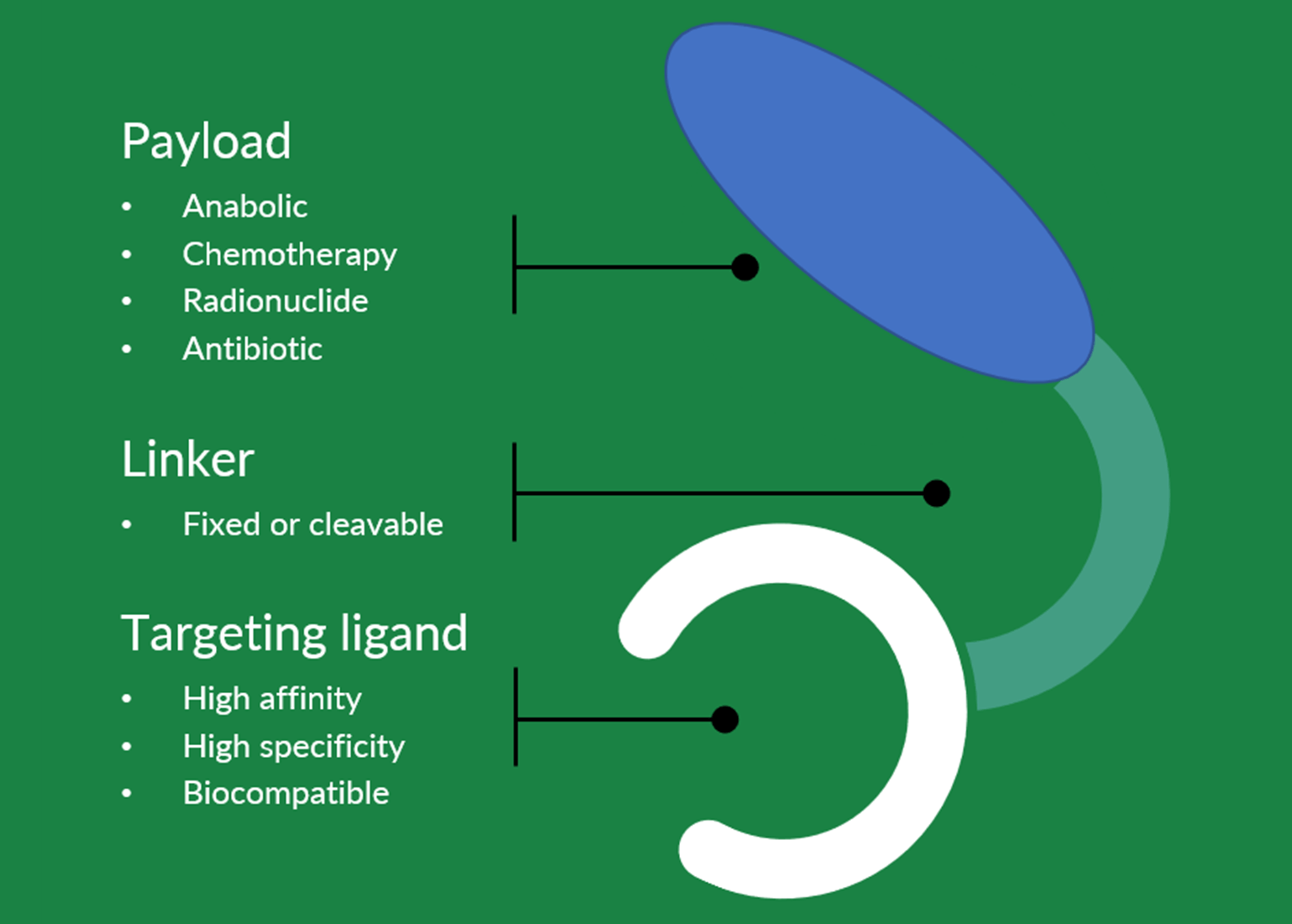 Payload - Linker - Targeting ligand - chart